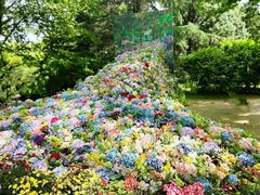 -上海共青森林公园