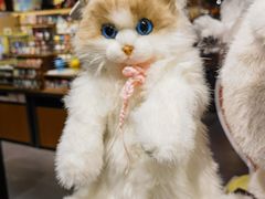 -番茄口袋(上海普陀区环球港店)