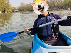 -WhaleSports户外水上运动俱乐部(朝阳公园店)