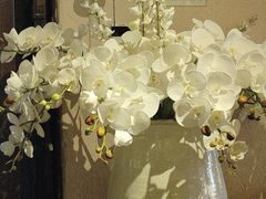 -翡翠鸟精品泰国菜(北辰财富中心店)