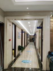 -碧莲盛·不剃发植发