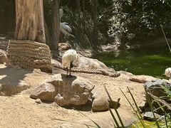 -费瑟代尔野生动物园