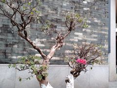-广州神农草堂中医药博物馆
