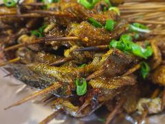 鳝鱼-晓靖轩烧烤(沙河风情店)