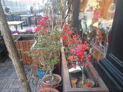 -原麦世家(莱蒙店)