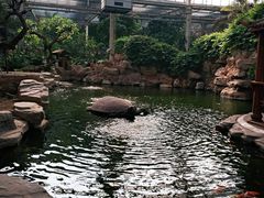 -龙达温泉生态城