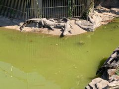 -南昌动物园