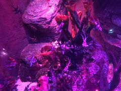 -沈阳海洋探索中心