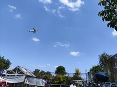 -空港花田景区