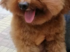 -沐沐家宠物(成寿寺店)