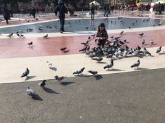 -加泰罗尼亚广场
