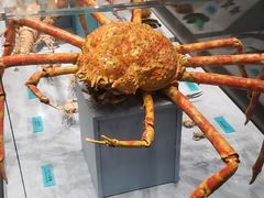 -天津自然博物馆