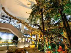 -甘肃地质博物馆