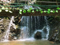 -藏龙百瀑风景区