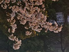 -玛格萝妮比萨屋(四平店)