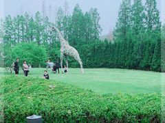 -棒棰岛宾馆景区