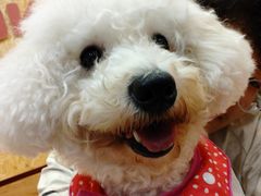 -和它·交个朋友·狗咖猫咖(爱琴海店)