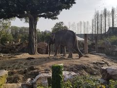 -上海野生动物园