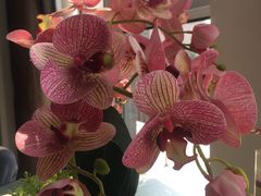 -楚禾宴·家宴(光谷大道店)