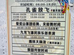 -西双版纳原始森林公园