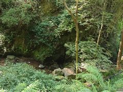 -青城山