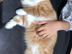 -瞄一喵猫咖(格力海岸店)