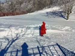 -大秃顶子山(雪谷店)