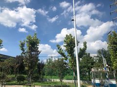 -欢乐牧场(T12店)