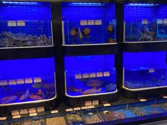 -協成海鮮火鍋(老店)