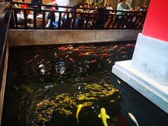 -龙悦湾酒家·八阵鱼生·渔人码头店