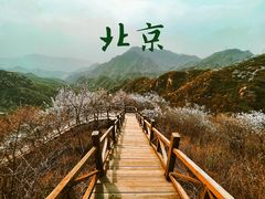 -大岭沟猕猴桃谷风景区