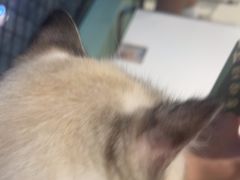 -怪兽屋·羊驼·猫咖·狗咖(俊华广场店)