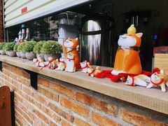 -柴犬高等学院·狗咖·柴犬售卖·宠物训练