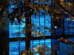 酒店大门？？-广州天河希尔顿酒店