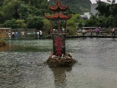 -靖西鹅泉风景区