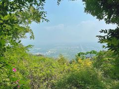 -北京西山国家森林公园