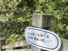 -南宁良凤江国家森林公园