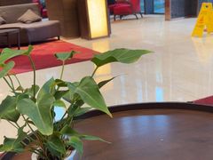 -深圳湾科技园丽雅查尔顿酒店