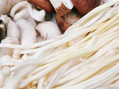 -楠柏弯休闲山庄(梨花溪店)