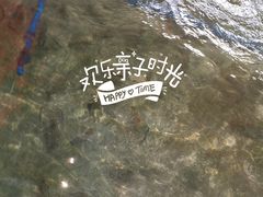 -小象钓虾·营地烧烤(洛溪店)