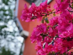 -乌山风景区