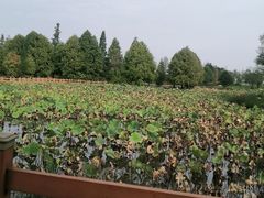 -凤凰沟景区