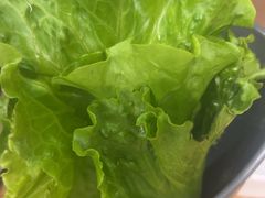 -菌小白火锅(时尚天河店)
