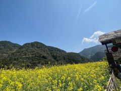 -新安江山水画廊风景区