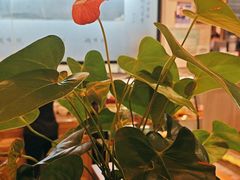 -鸽味轩·粤菜小馆(高楼门总店)