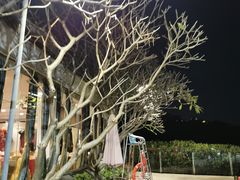 -白云湖畔酒店-湖畔餐厅