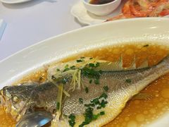 -骏莱海鲜鱼港(五角场店)