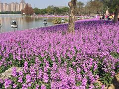 -顺峰山公园
