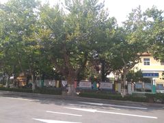 -青岛市市南区文登路幼儿园