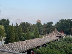 -万泉公园